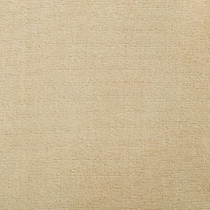 Austin Sand fabric