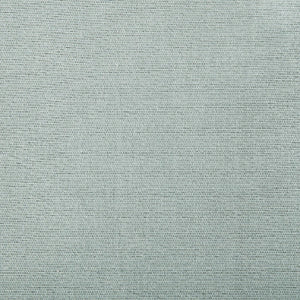 Austin Silver fabric