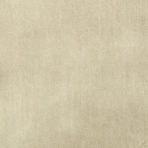 Delta Velvet Almond fabric