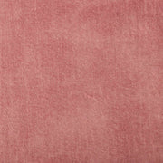Delta Velvet : Pink