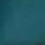 House Plush:Teal