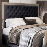 Emia Upholstered Soft Velvet Metal Designer Bed Frame